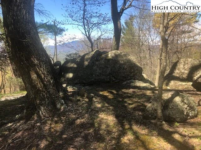 Image number 8 for the current listing