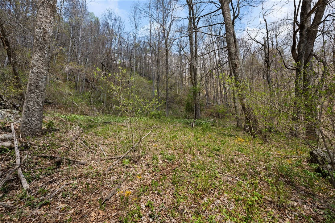 Image number 7 for the current listing