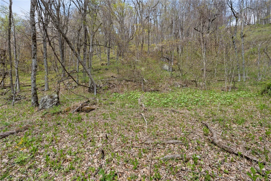 Image number 6 for the current listing