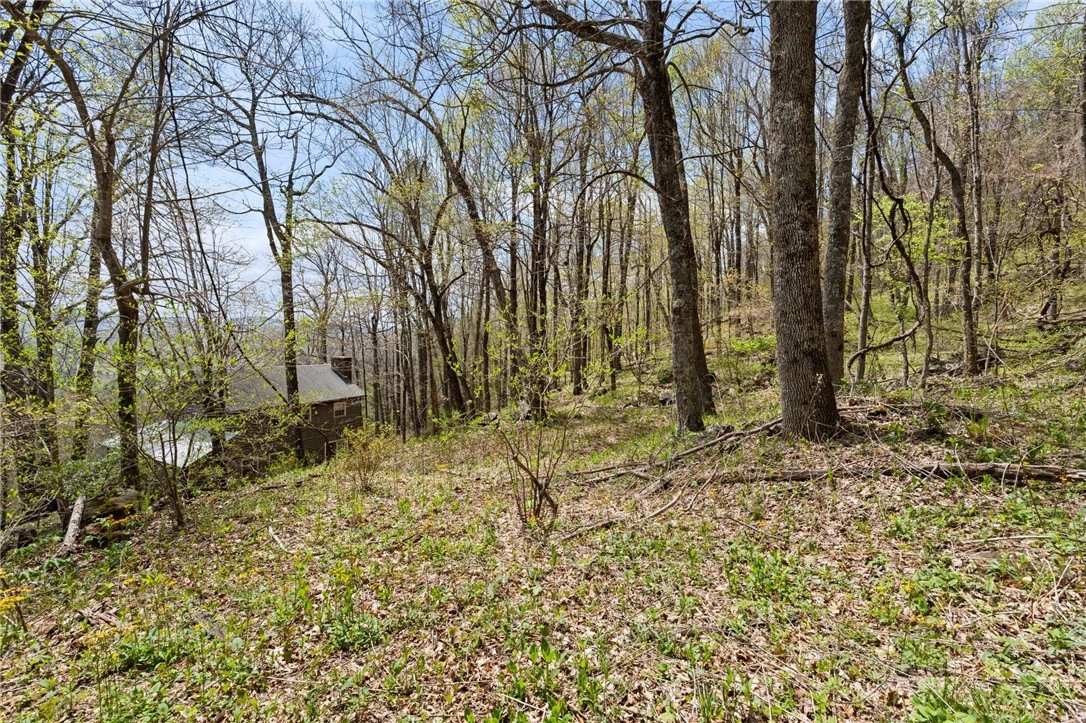 Image number 5 for the current listing