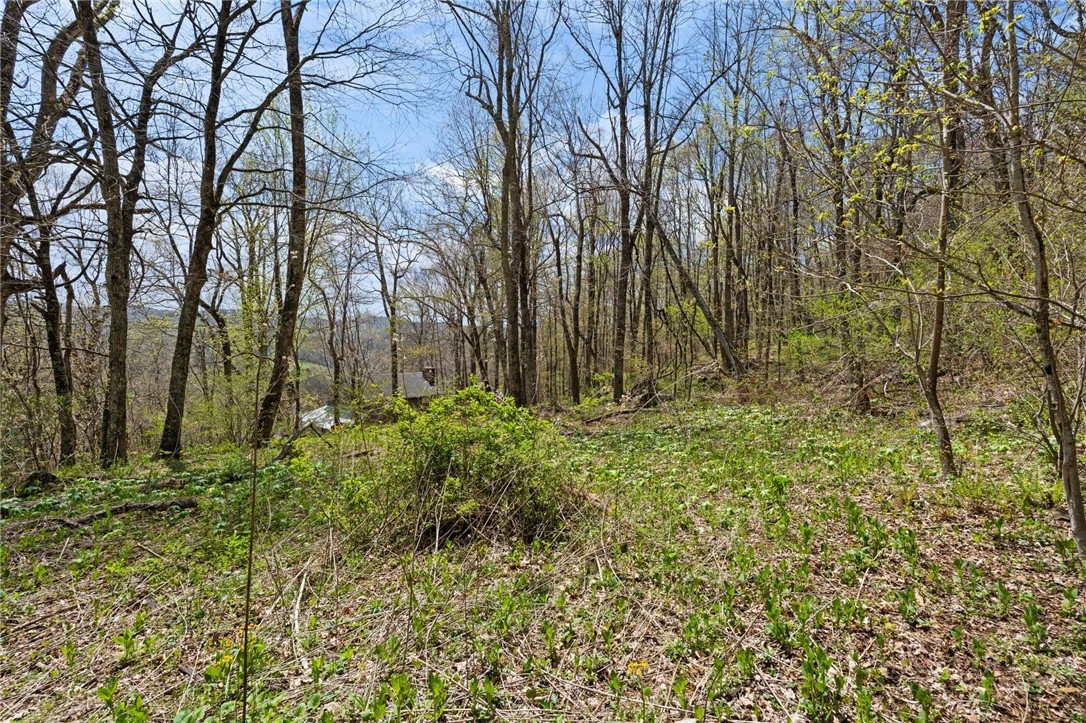 Image number 9 for the current listing