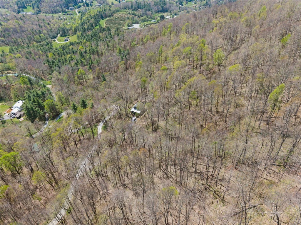 Image number 3 for the current listing