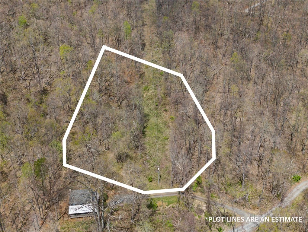 Image number 4 for the current listing