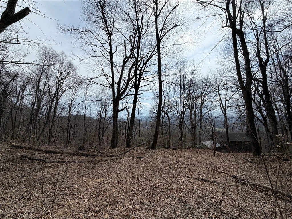 Image number 1 for the current listing