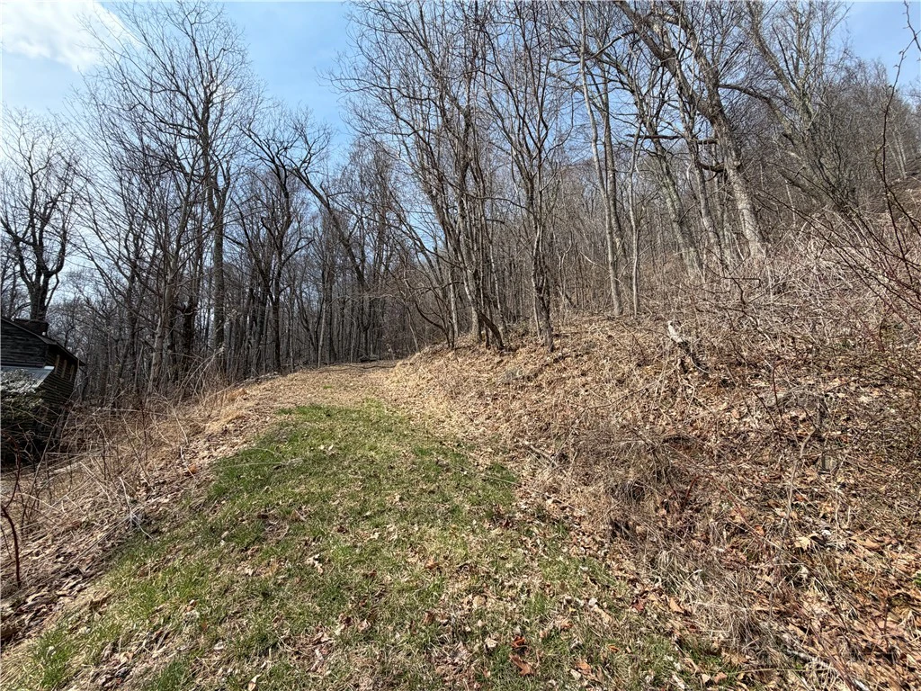 Image number 10 for the current listing