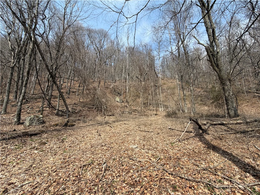 Image number 18 for the current listing
