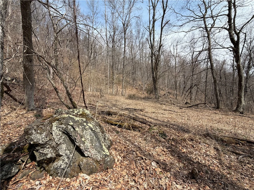 Image number 17 for the current listing