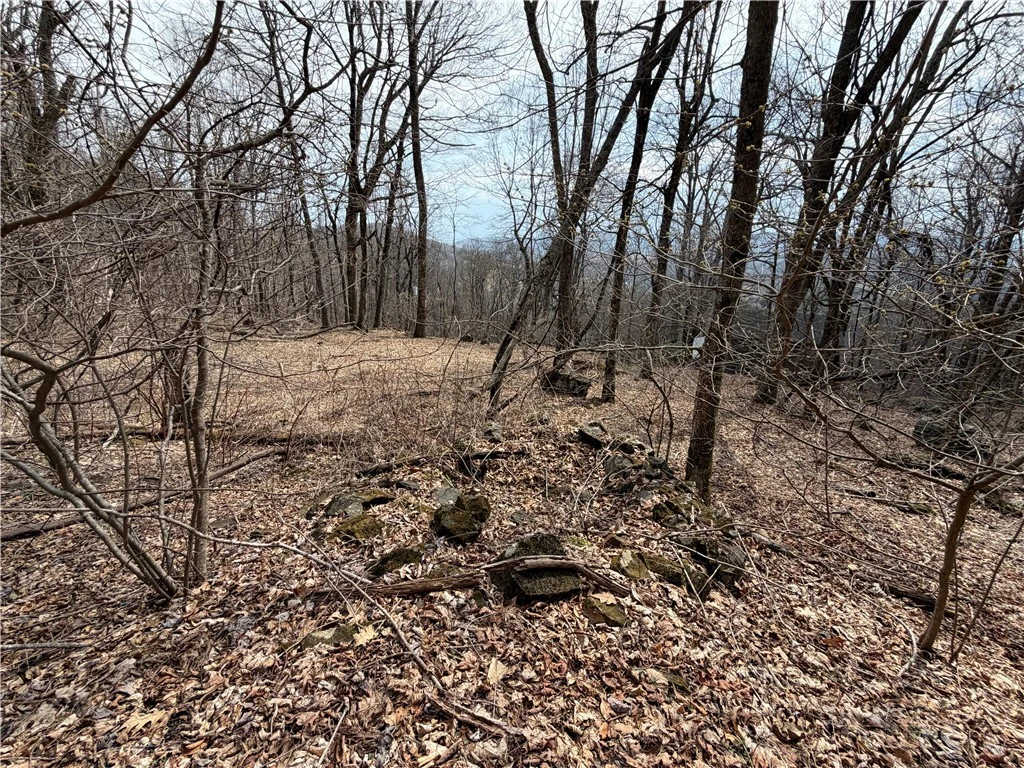 Image number 14 for the current listing