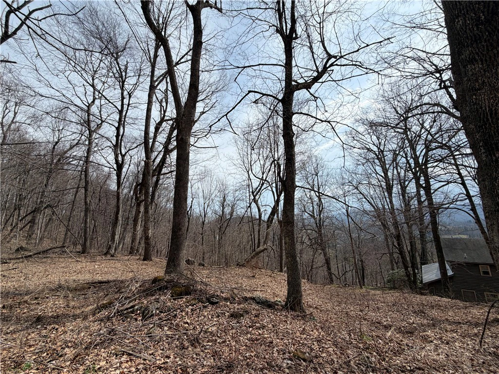 Image number 21 for the current listing