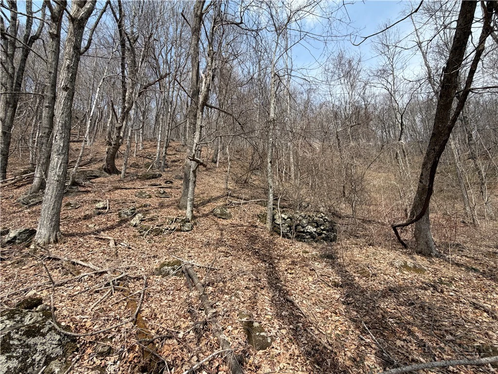 Image number 19 for the current listing