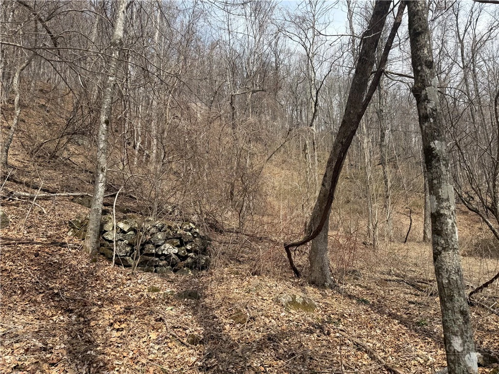 Image number 15 for the current listing