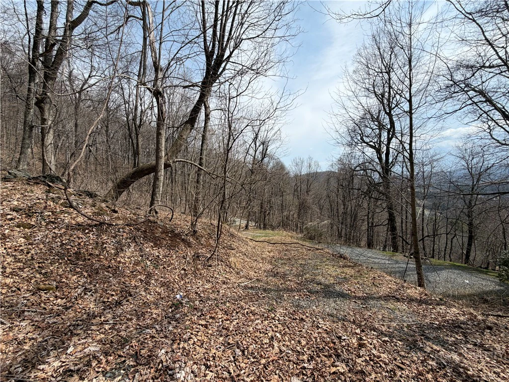 Image number 11 for the current listing