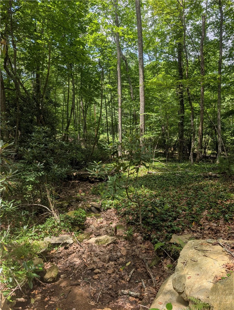 Image number 3 for the current listing