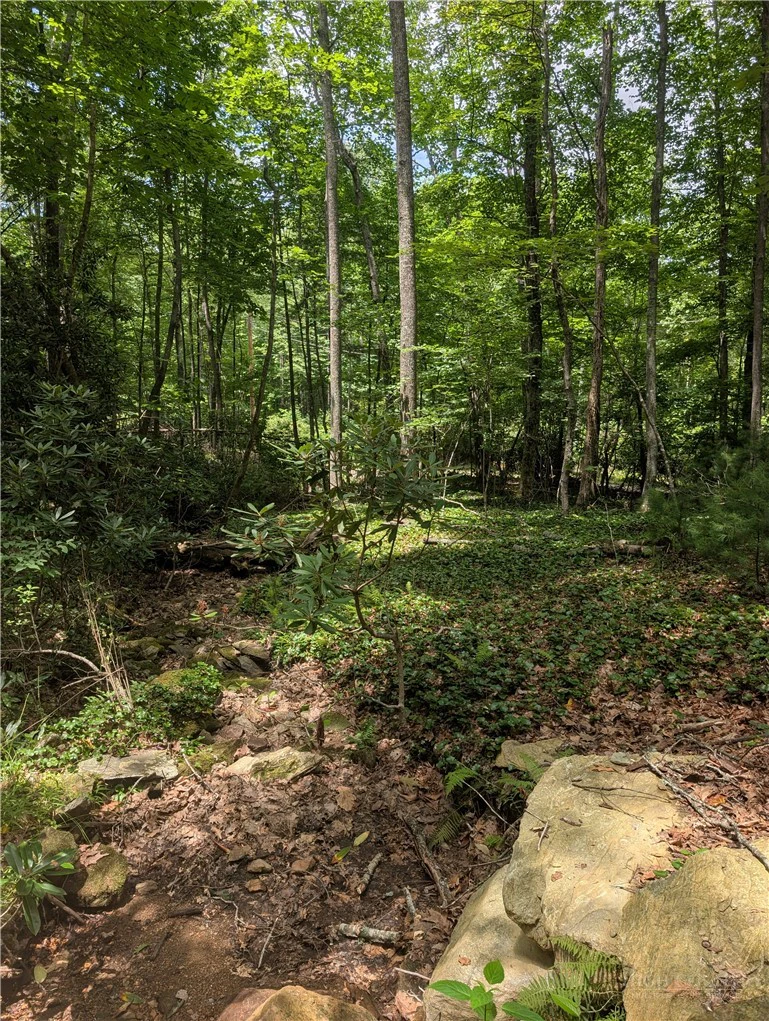 Image number 4 for the current listing