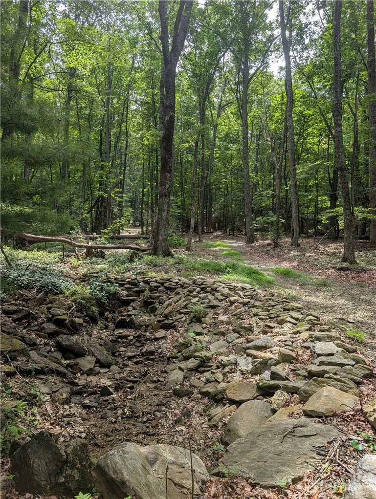 Image number 6 for the current listing