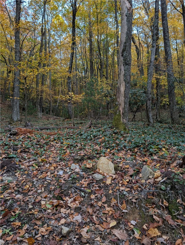 Image number 11 for the current listing