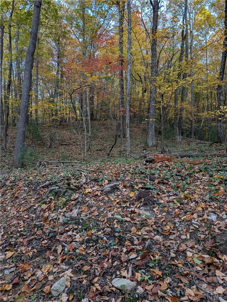 Image number 14 for the current listing