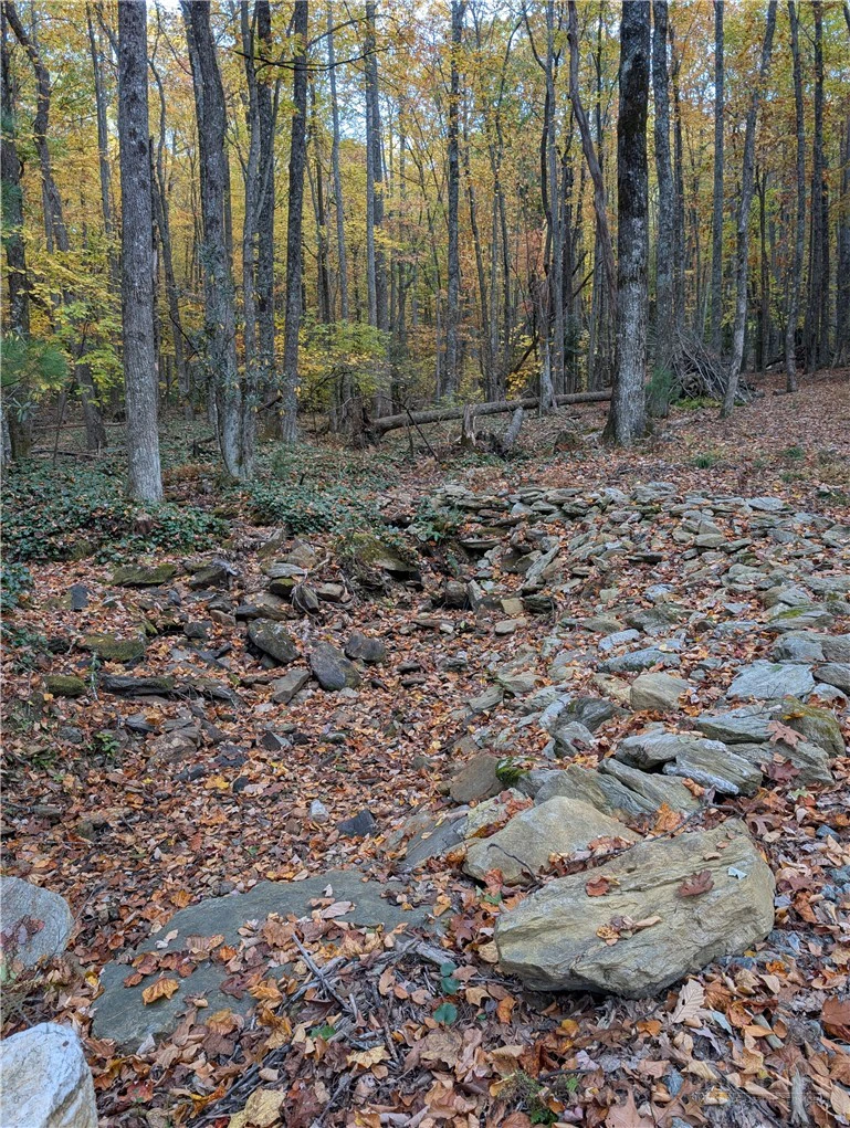 Image number 16 for the current listing