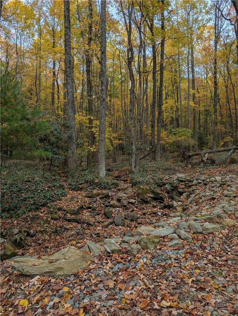 Image number 17 for the current listing