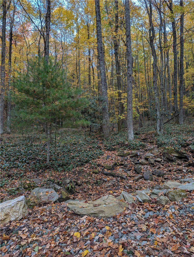 Image number 18 for the current listing