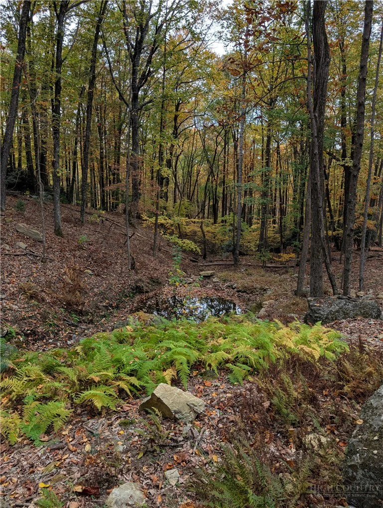Image number 21 for the current listing