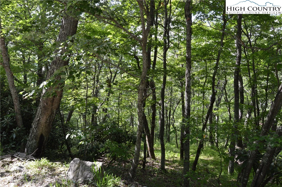 Image number 1 for the current listing