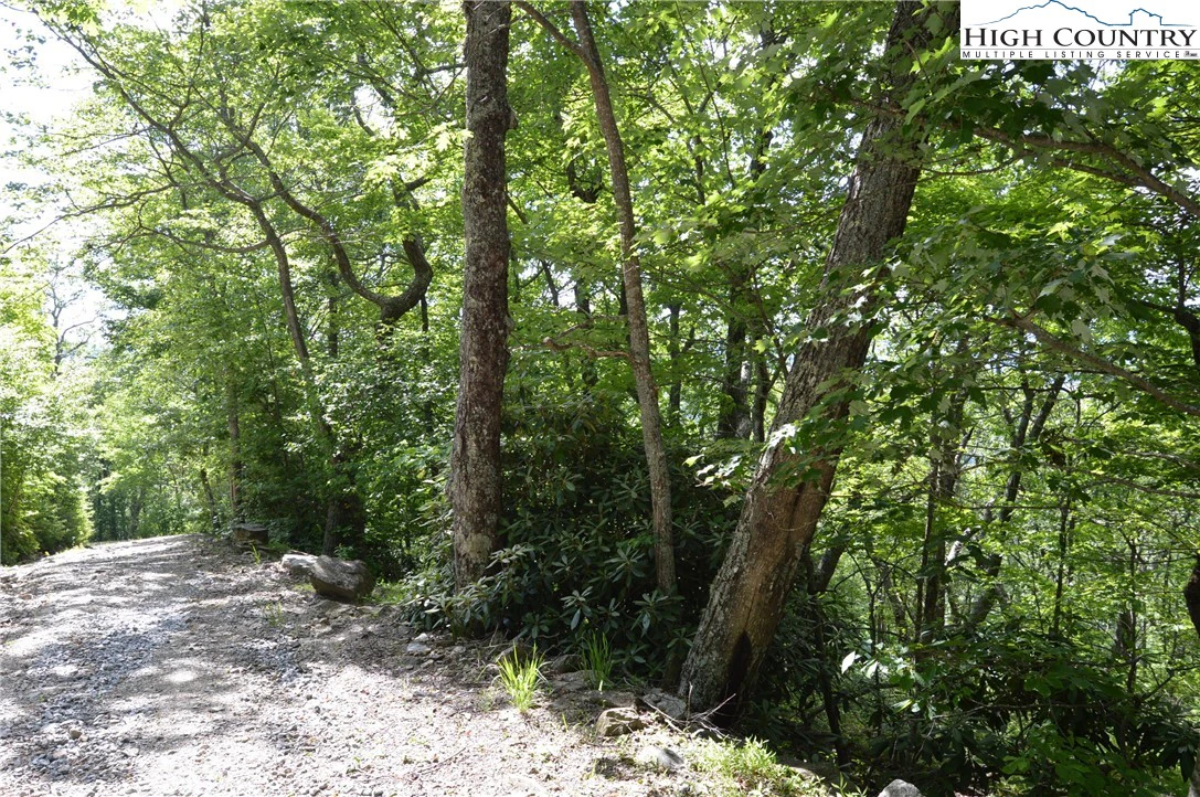 Image number 2 for the current listing