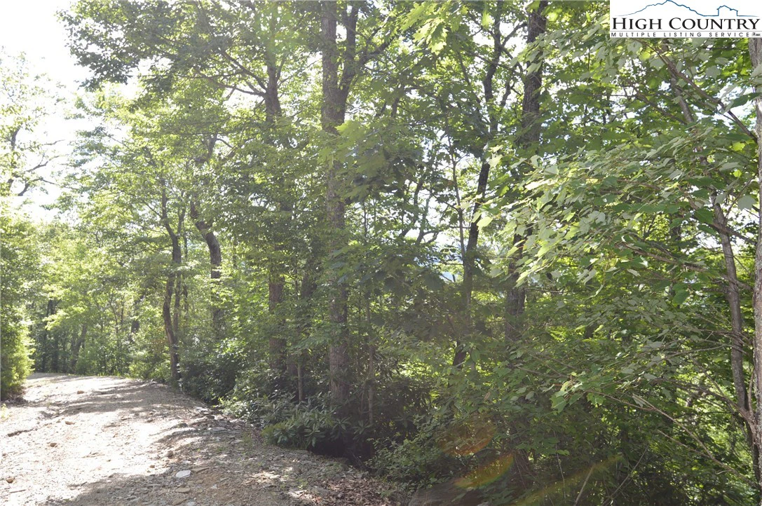 Image number 5 for the current listing