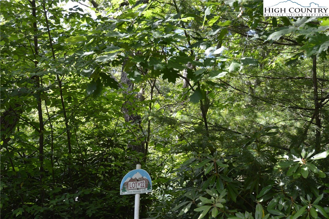 Image number 6 for the current listing