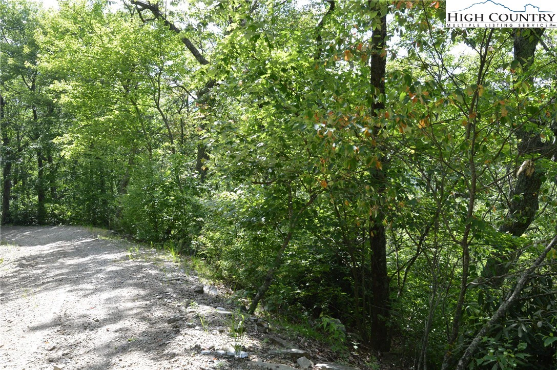 Image number 10 for the current listing
