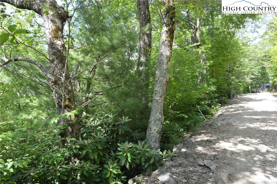 Image number 13 for the current listing