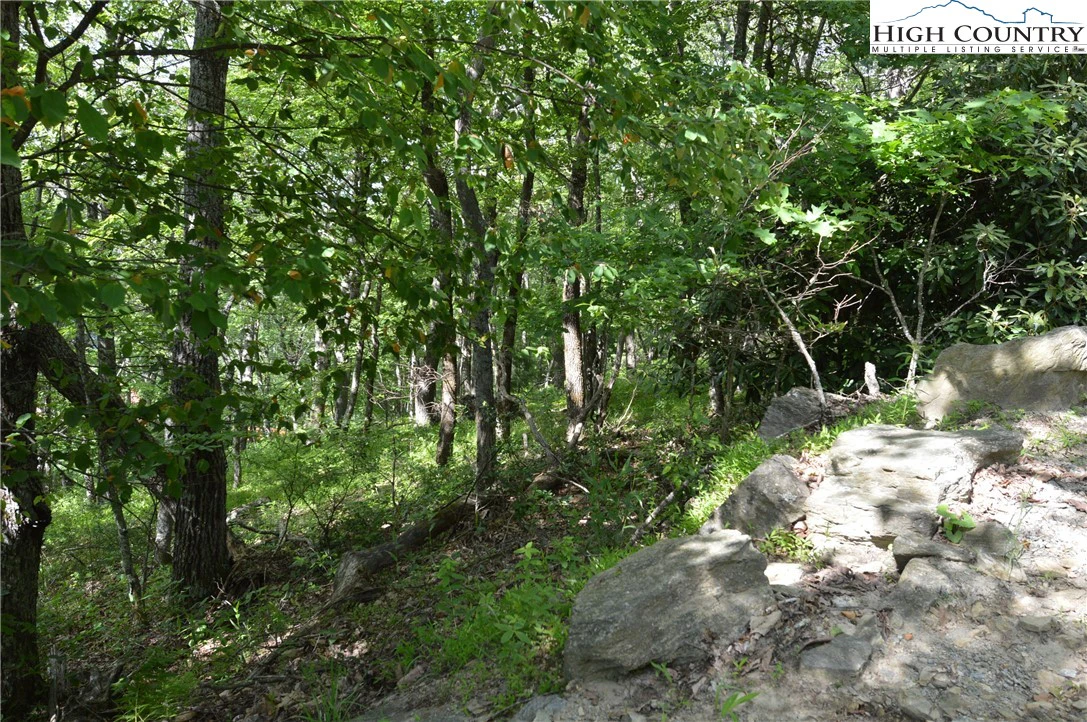 Image number 14 for the current listing