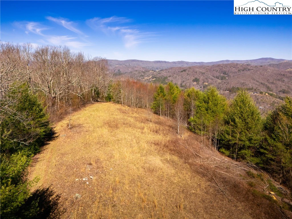 Image number 3 for the current listing