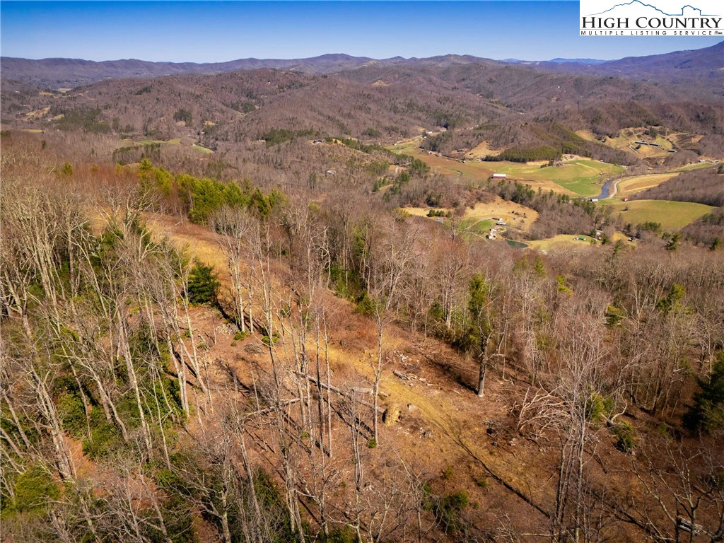 Image number 4 for the current listing