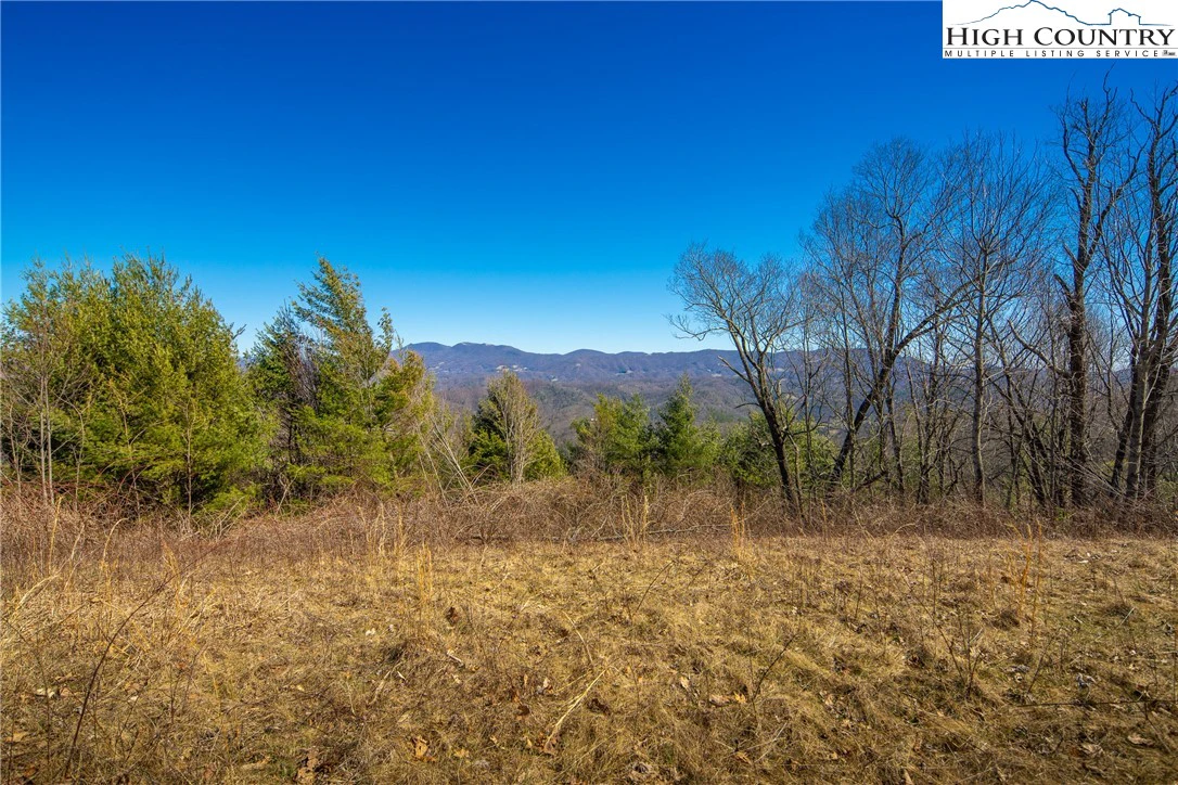 Image number 7 for the current listing