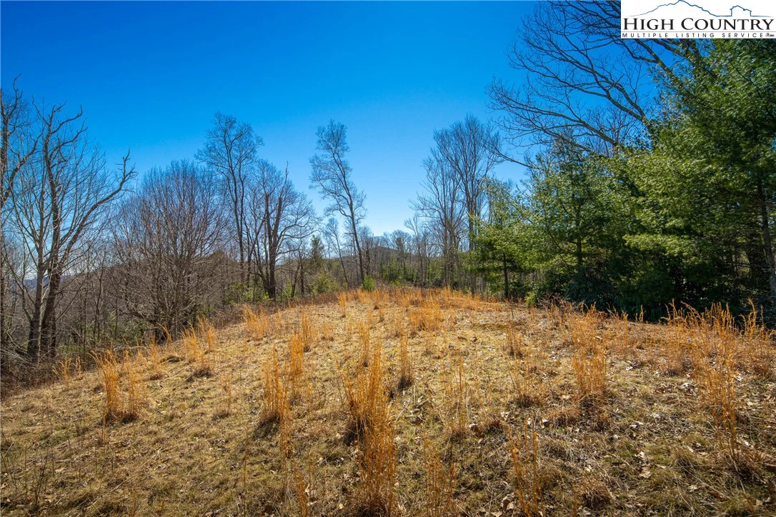 Image number 8 for the current listing