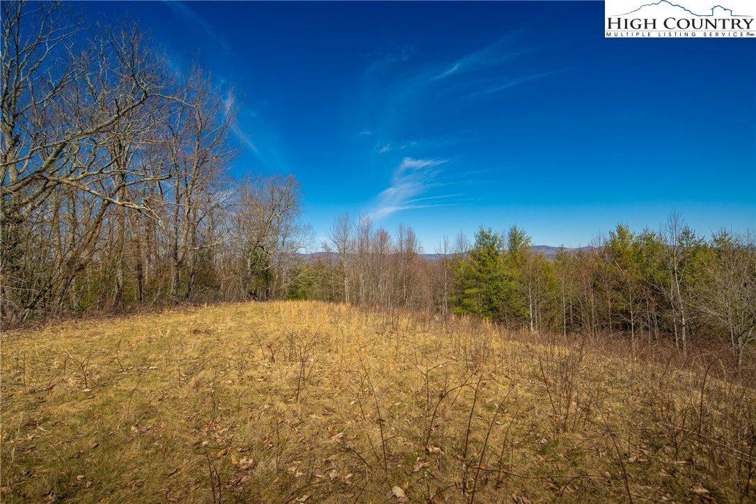Image number 9 for the current listing