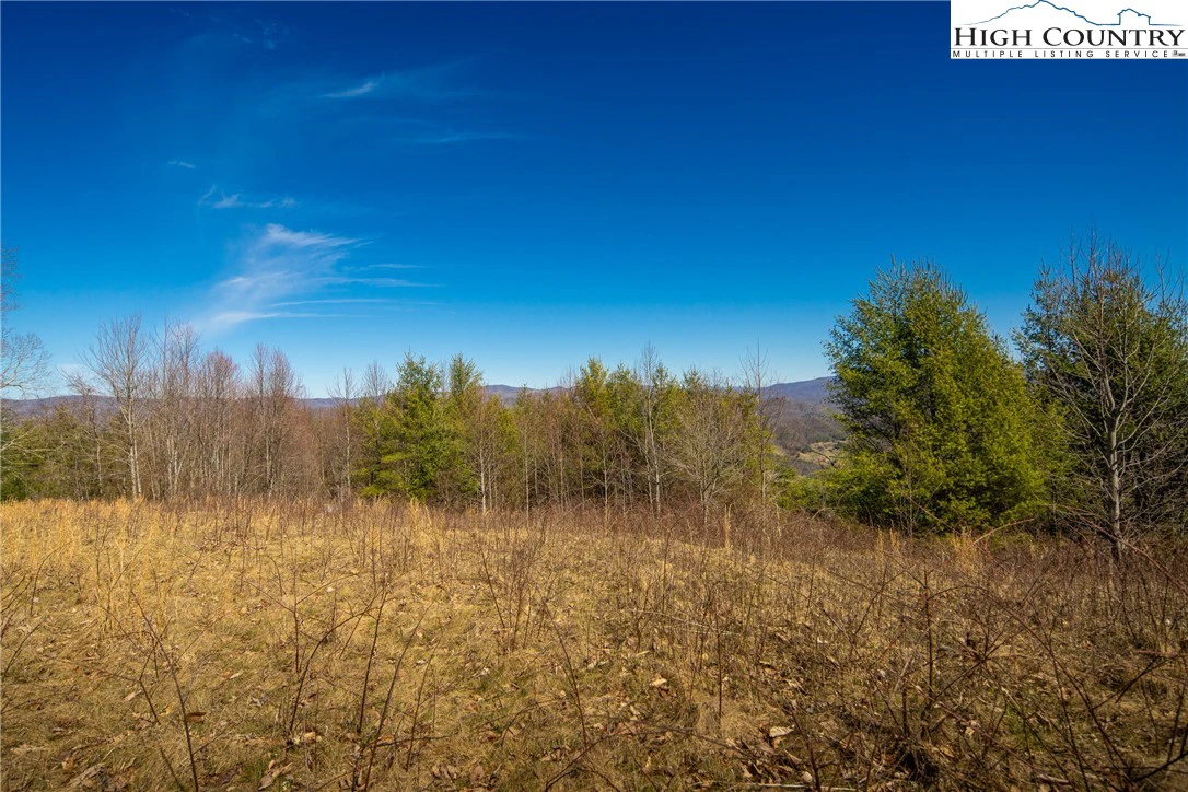 Image number 10 for the current listing
