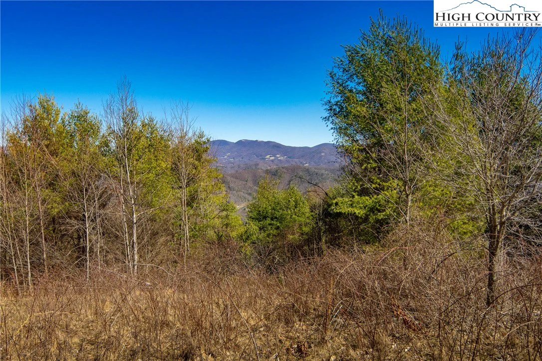 Image number 11 for the current listing