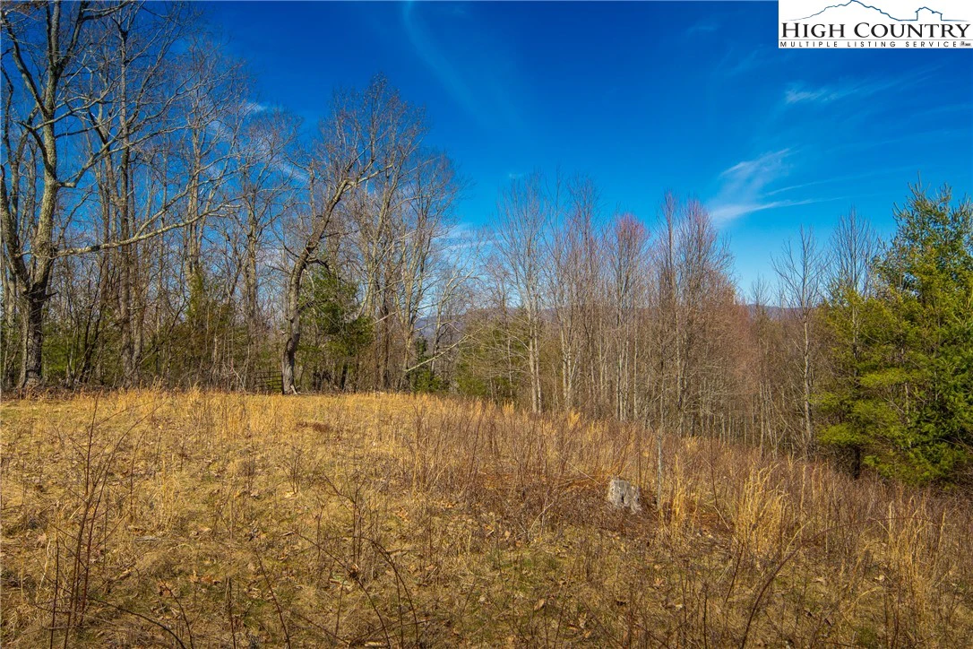 Image number 2 for the current listing