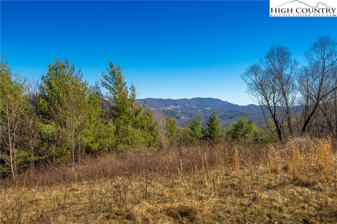 Image number 13 for the current listing