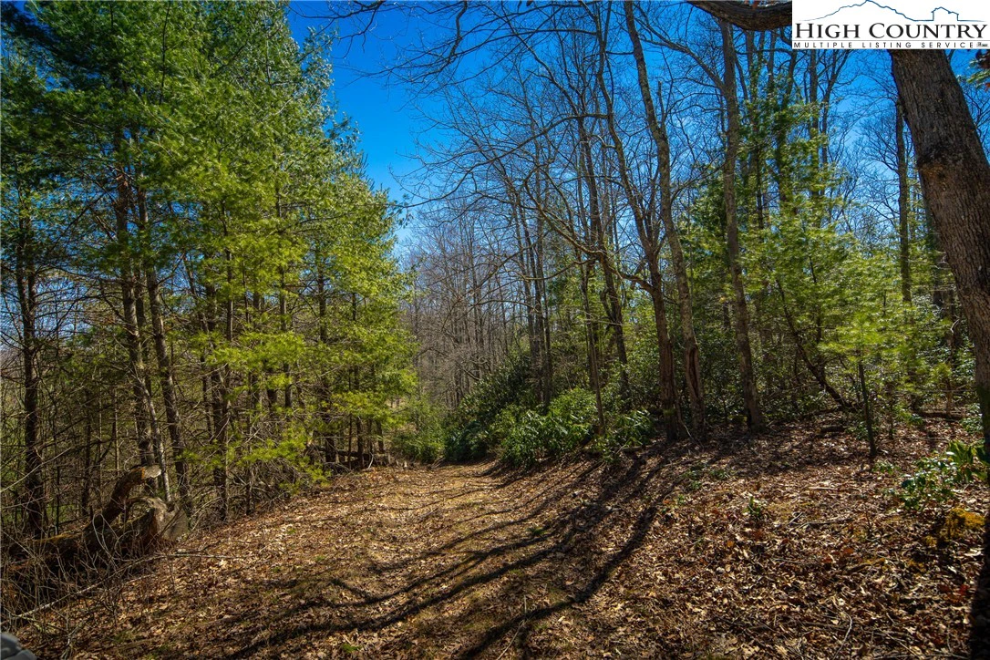 Image number 14 for the current listing