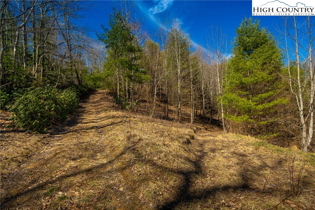 Image number 15 for the current listing