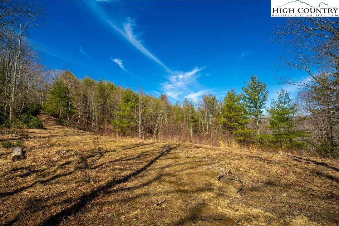 Image number 16 for the current listing