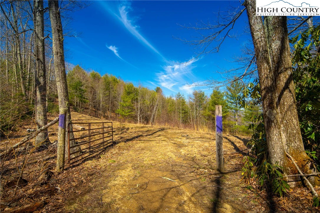 Image number 17 for the current listing