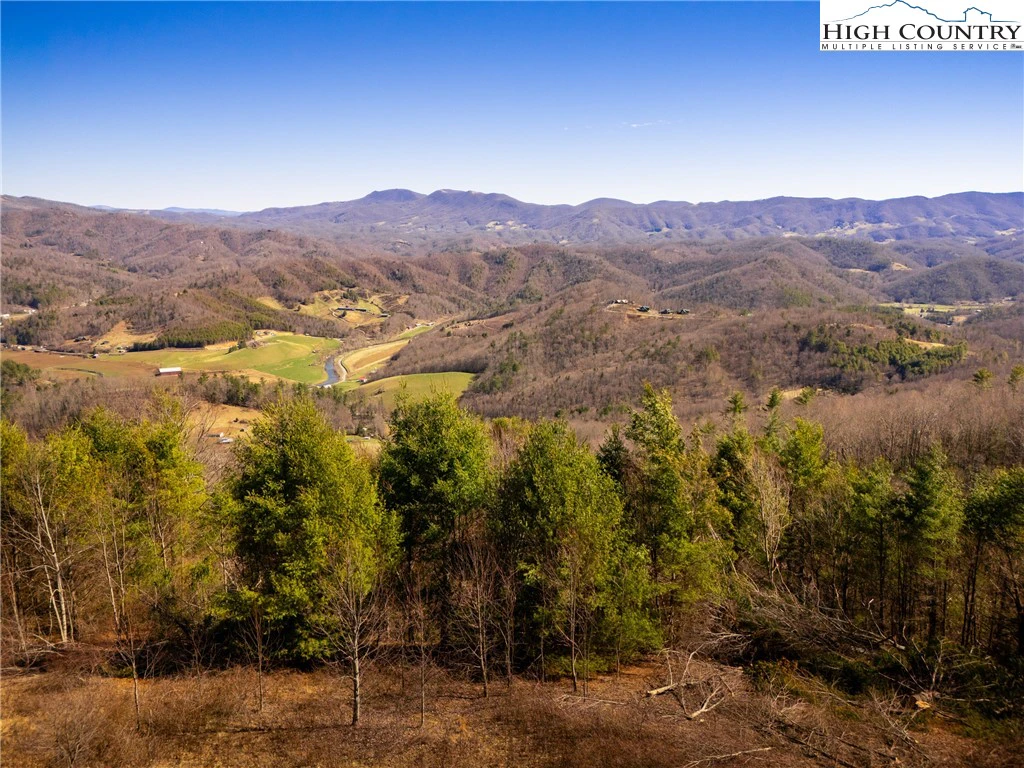 Image number 1 for the current listing