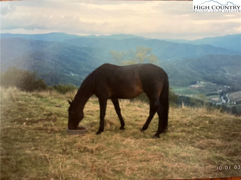 Image number 20 for the current listing