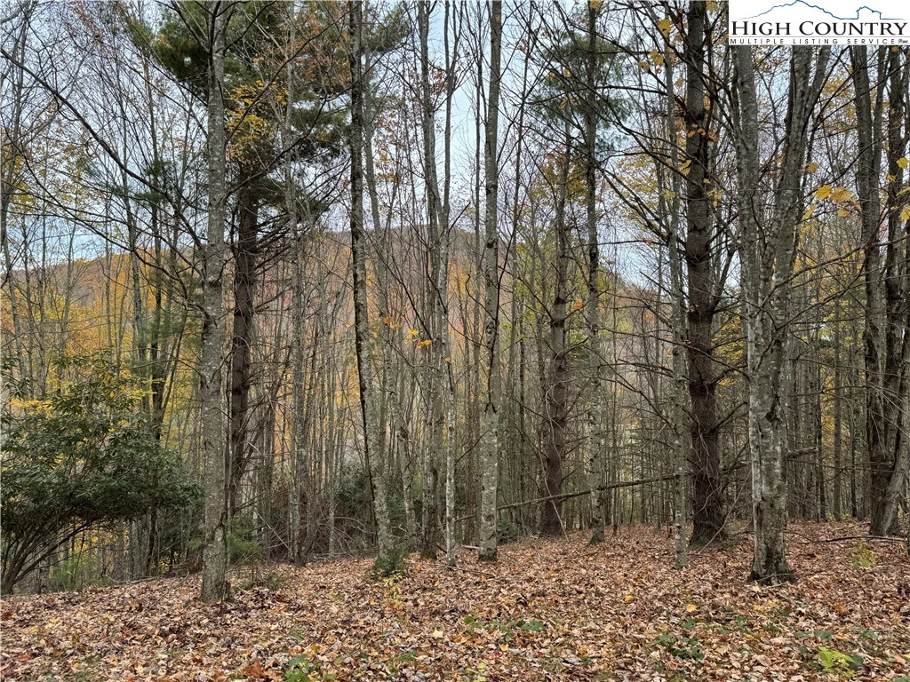 Image number 1 for the current listing