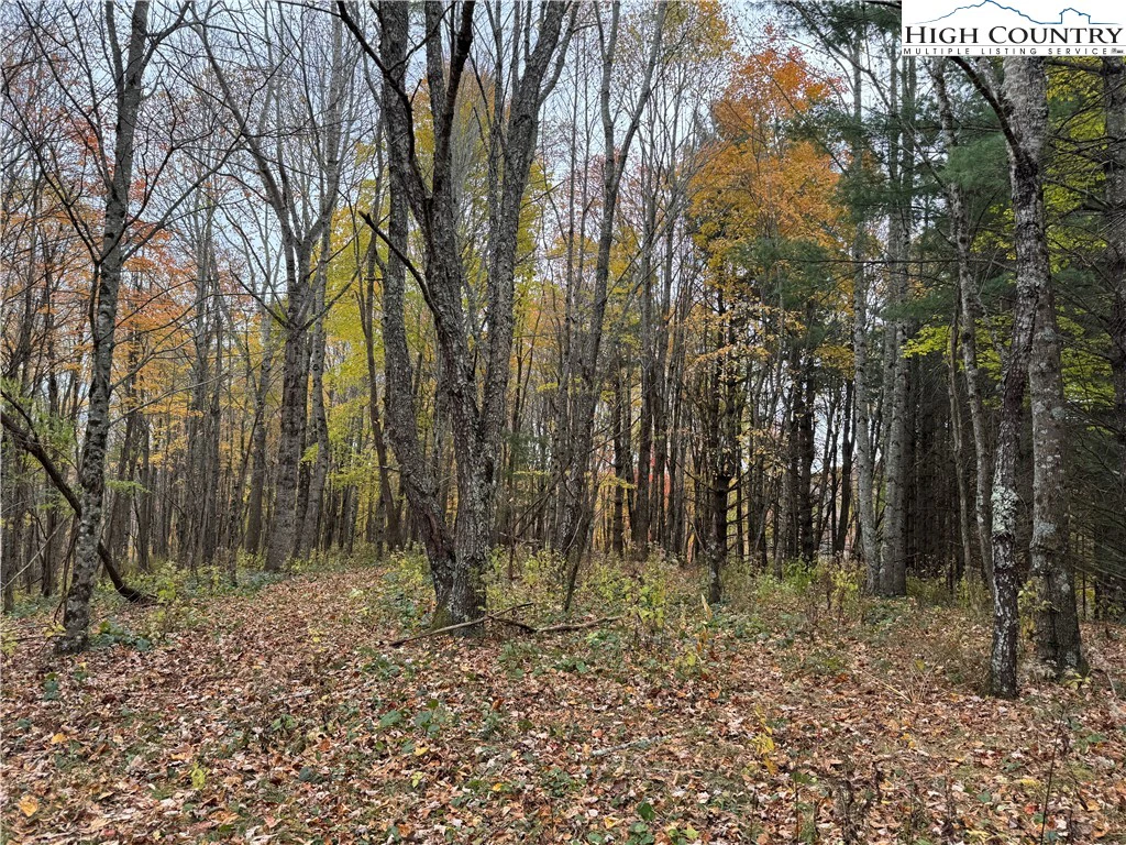 Image number 13 for the current listing
