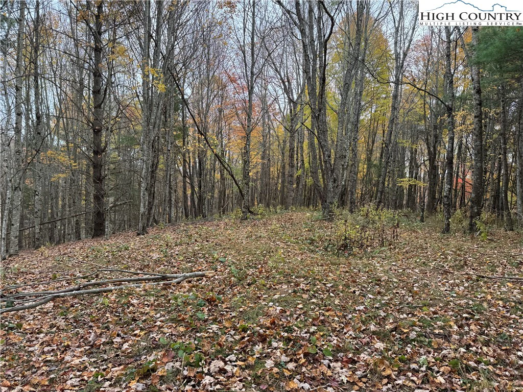 Image number 12 for the current listing